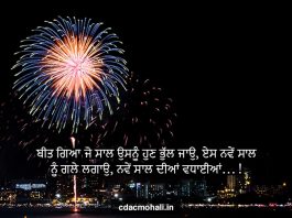 Happy New Year Wishes in Punjabi