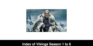 Index of Vikings Season 1 to 6 (Review, Cast & Episodes)