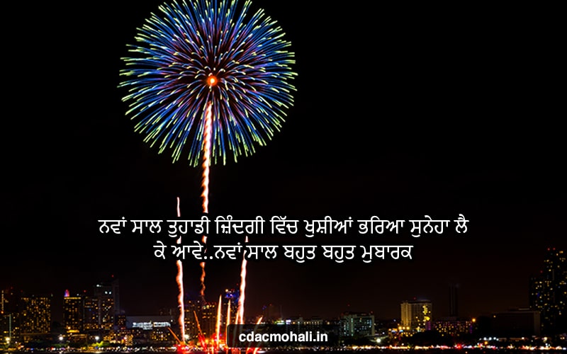 New Year Status in Punjabi