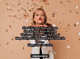 Romantic Happy New Year Shayari