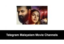 Telegram Malayalam Movie Channels
