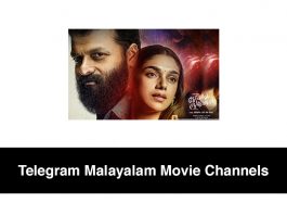 Telegram Malayalam Movie Channels