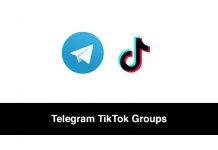Telegram TikTok Groups