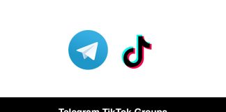 Telegram TikTok Groups