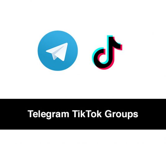 Telegram TikTok Groups