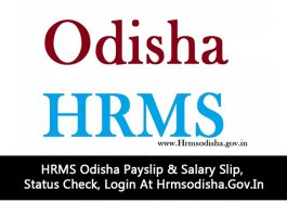 HRMS Odisha Payslip & Salary Slip, Status Check, Login At Hrmsodisha.Gov.In