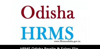 HRMS Odisha Payslip & Salary Slip, Status Check, Login At Hrmsodisha.Gov.In