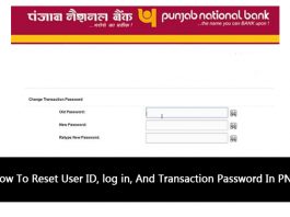 How To Reset User ID, log in, And Transaction Password In PNB
