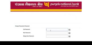 How To Reset User ID, log in, And Transaction Password In PNB